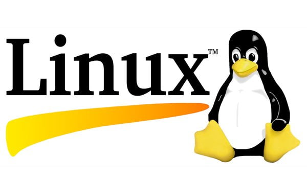 Cloud Hosting Linux là lựa chọn tối ưu cho lưu trữ website