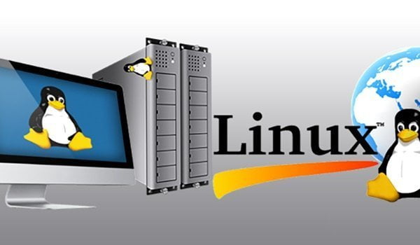 Cloud hosting Linux là dịch vụ cloud hosting được ưa chuộng hàng đầu hiện nay