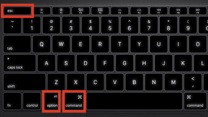 Tổ hợp phím Command + Option (hoặc Alt) + Esc trên MacBook